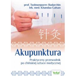 Akupunktur. Ein praktischer Leitfaden für die chinesische medizinische Kunst